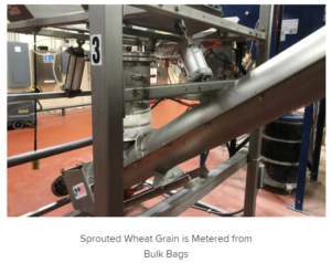 kws-sprouted-grains-conveyor